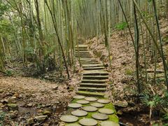 -广州市石门国家森林公园