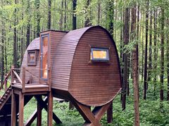 -黄海国家森林公园