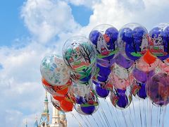 -上海迪士尼度假区