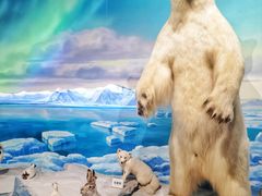 -陕西自然博物馆