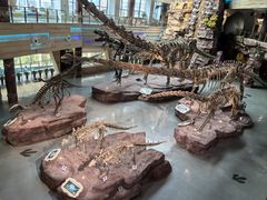 -安徽省地质博物馆