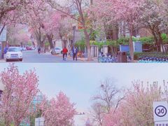-岳阳道小学(大理道校区)