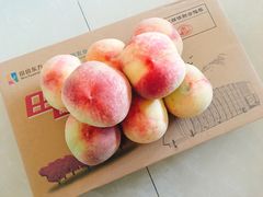 -田园东方蜜桃村的田野营地