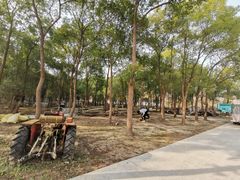 -崇明岛拓展训练真人CS镭战基地