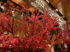 -金轩中餐厅 Jin Xuan(浦东丽思卡尔顿酒店)
