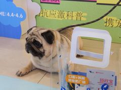 -天虹购物中心(石路店)