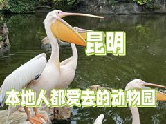 -昆明动物园