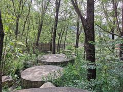 -碓臼峪自然风景区