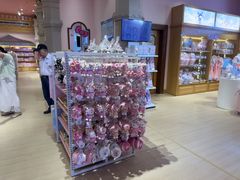 -安吉Hello Kitty乐园