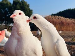 -良渚古城遗址公园