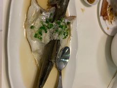 酒酿午仔鱼-鼎泰丰(渔阳店)