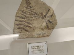 -辽宁古生物博物馆
