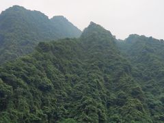 -龙窝子