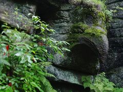 -汤旺河林海奇石景区