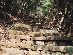 -杭州半山国家森林公园