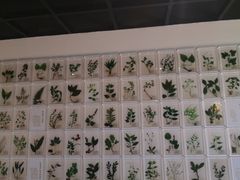 -广东中医药博物馆