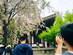 -西安青龙寺遗址景区
