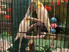 -成都世纪城假日酒店-西楼