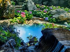 -梭布垭石林景区