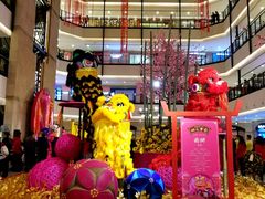 2018狮王争霸-梅龙镇广场