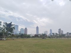 -万绿园