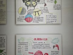 -上海昆虫博物馆