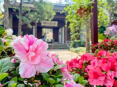 -惠山古镇·寄畅园