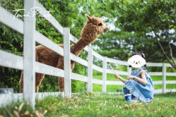 -韩国童感TOUCH PHOTO儿童摄影(朝阳分店)