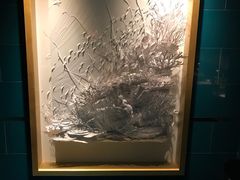 -迪拜帆船酒店海底餐厅