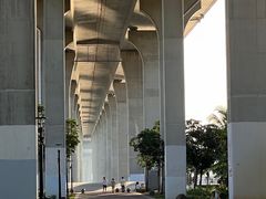 -中澳友谊花园