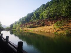 -桃花岭景区