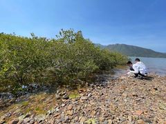-坝光海滩
