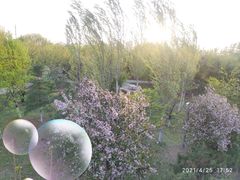 -长白岛森林公园