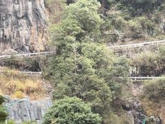 -刘伯温故里景区百丈漈
