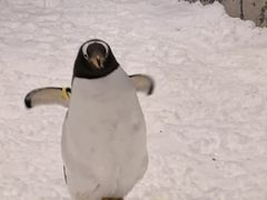 -长沙湘江欢乐雪域