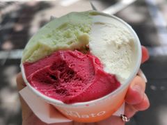-Dip in Gelato(富民路店)