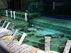 -美乐食街(小南店)