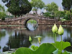 -无锡蠡湖国家湿地公园-蠡园