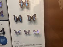 -天津自然博物馆