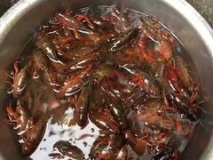 -哆来咪火锅烤肉自助(牌楼店)