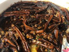 -新吉士·上海菜(浦东LCM置汇旭辉店)