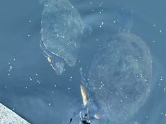 -宁波市保国寺古建筑博物馆