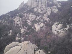 -崂山巨峰游览区