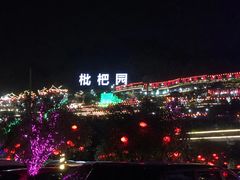 -枇杷园食为鲜火锅(南山店)