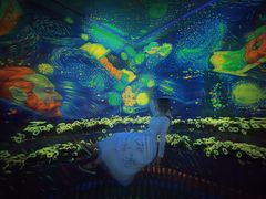 -天津梵高星空艺术馆(天河城旗舰店)