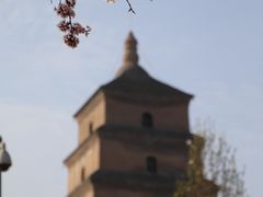 -大唐博相府酒店·陕西官府菜