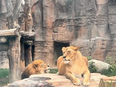 -新疆天山野生动物园