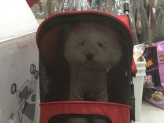 iphone_upload_pic-爱宠屋pet shop·宠物洗澡·宠物美容