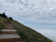 -白草畔自然风景区