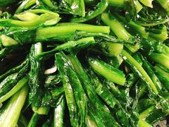 -生态苑农庄(十里画廊遇龙河店)